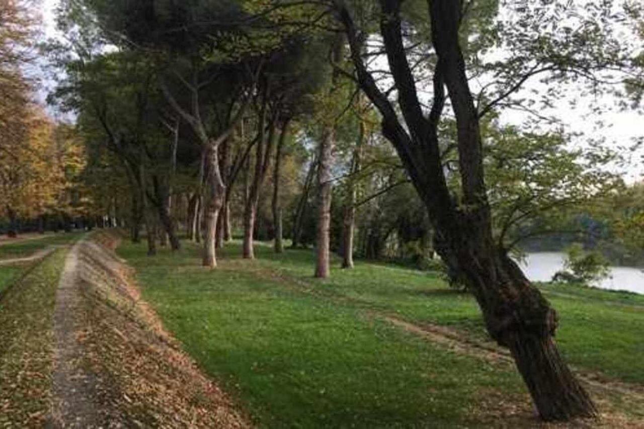 Pisa Appartamento Bonaini Bagian luar foto